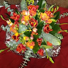 Tulip and freesia hand tied bouquet