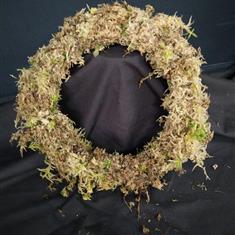 Christmas fresh moss wreath, ready for embellishments